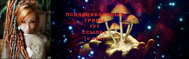 цена наркотик  Кызыл  мега ссылки  Галлюциногенные грибы Magic Shrooms 